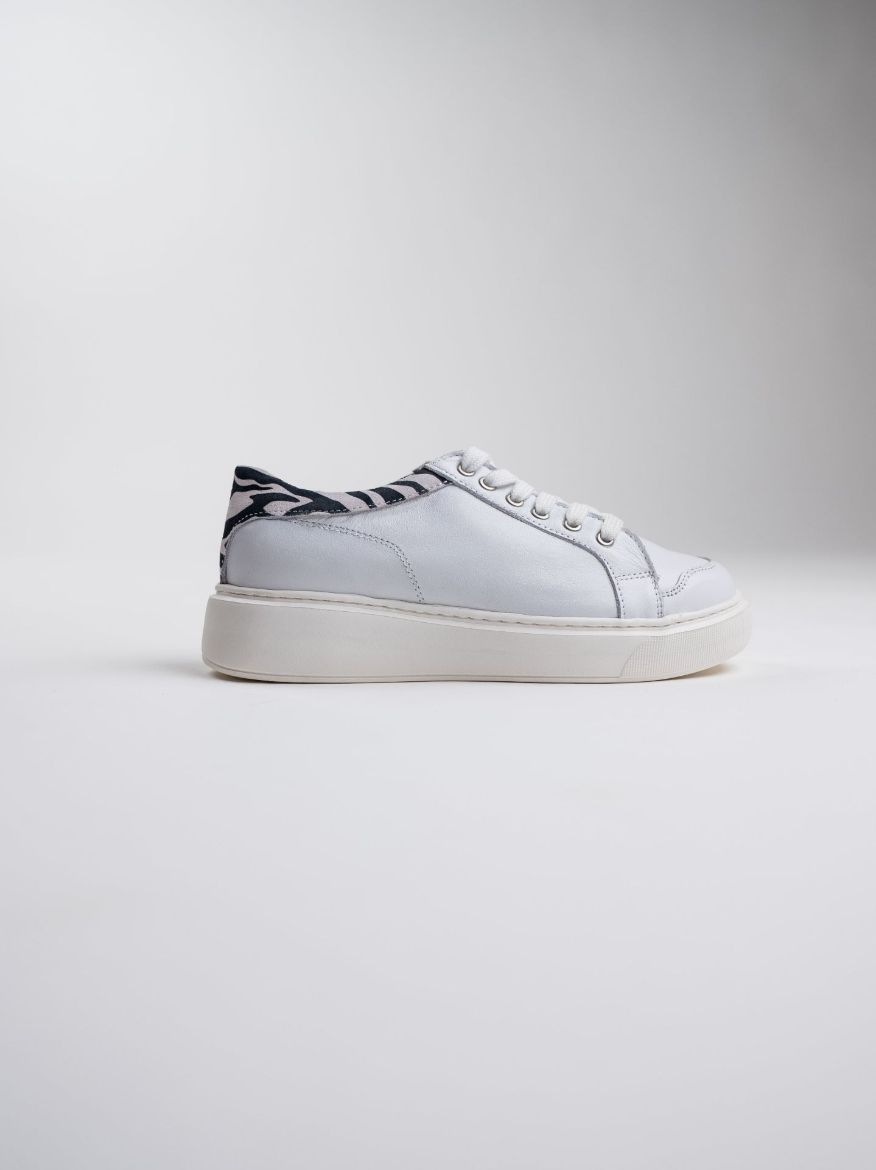 urban-safari zebra-white