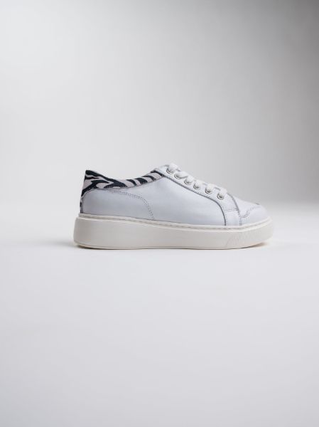 urban-safari zebra-white